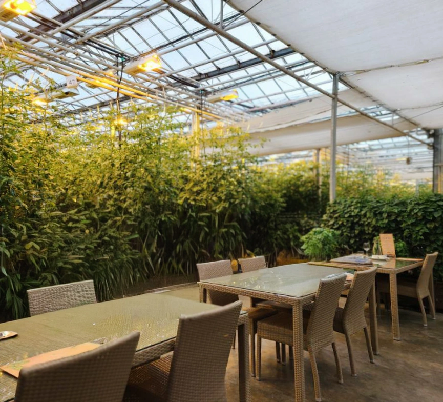 Sitting area inside Friðheimar Tomato Farm in Iceland