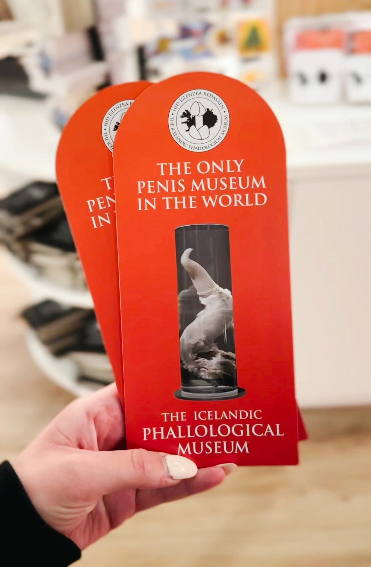 Brochure for The Icelandic Phallological Museum