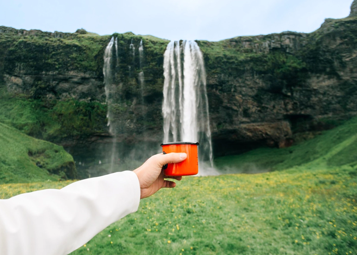 25 Souvenirs from Iceland That Are Totally Unique
